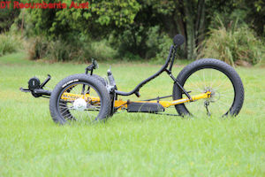 MagnumFat1 recumbent trike